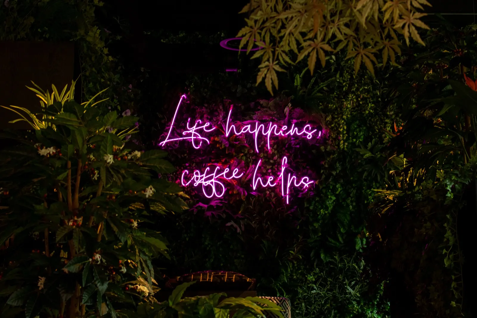 Pinkes Neon 'coffee helps' im Café
