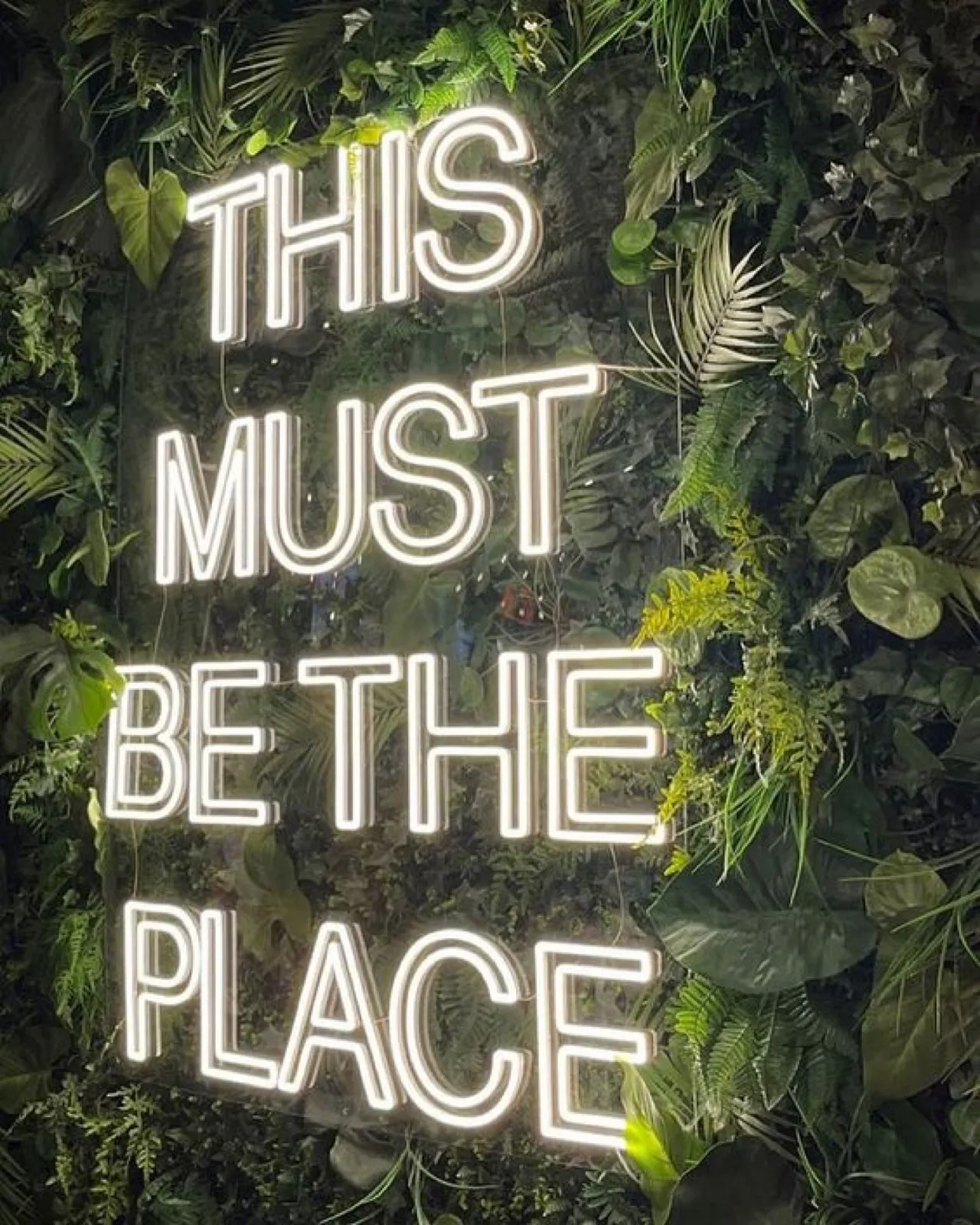 Weißer Neon-Schriftzug ‚This must be the place‘ vor einer grünen Pflanzenwand